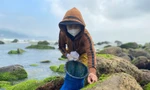 Những phụ nữ ‘cược’ mạng sống với biển, đu bám ghềnh đá hái rau nước mưu sinh 
