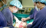 Thiết lập kỷ lục mới về ghép tạng tại Việt Nam
