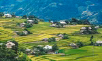 Ngất ngây cảnh sắc 'thiên đường' ruộng bậc thang ở Hoàng Su Phì
