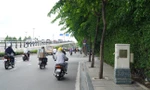 Hàng cây bị 'bức tử' trên đường vào sân bay Tân Sơn Nhất được giải cứu