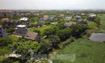 Hà Nội đấu giá lại loạt đất liền kề bị hủy kết quả, giá khởi điểm 9 triệu/m2