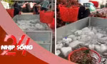 NHỊP SỐNG: Vải thiều mới thu hoạch được ngâm nước đá, chuyên gia lý giải