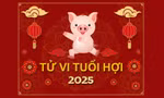 TỬ VI TUỔI HỢI 2025: Cách vượt qua hạn Tam Tai và Thái Tuế vây hãm