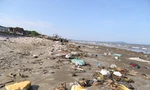 Bèo tây, rác thải bủa vây bờ biển Nghệ An