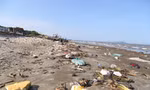 Bèo tây, rác thải bủa vây bờ biển Nghệ An