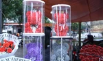 Hoa hồng Valentine, gấu kết từ hoa sáp tràn ngập trên kệ 'ngóng' khách