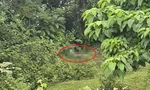 Phát hiện thi thể người đàn ông dưới lùm cây sát bờ sông, xe máy dựng trên cầu