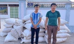 Phó Thủ tướng gửi Thư khen vụ bắt hơn 4,5 tấn gỗ trắc và vảy tê tê