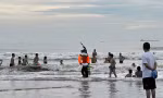 Cứu thành công hàng chục du khách đuối nước tại biển Cửa Lò