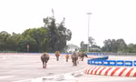 Trâu, bò ‘đi dạo’ trên đại lộ nghìn tỷ