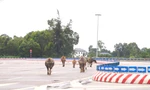 Trâu, bò ‘đi dạo’ trên đại lộ nghìn tỷ