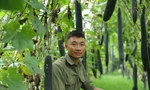 Cải tạo đất hoang trồng bí, chàng trai trẻ lãi 400 triệu đồng/năm