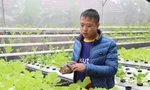 Chàng trai 8x tiên phong với mô hình trồng rau không cần đất