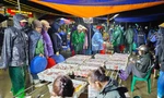 Đội mưa rét đi chợ bến cá lúc tinh mơ