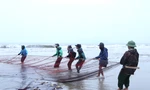 Ngư dân ‘hết thời’ đi kéo lưới rùng, kiếm tiền triệu trong ngày