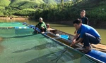 Chàng trai 9x nuôi cá trên lòng hồ thủy điện, thu trăm triệu mỗi năm
