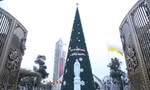 Nhìn gần cây thông Noel ‘khủng’ cao hơn tòa nhà 10 tầng ở xứ Nghệ 
