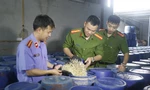 'Nóng' hàng giả, thực phẩm bẩn tại kỳ họp HĐND tỉnh 