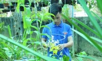 Chàng trai 9x khởi nghiệp từ lan rừng kết hợp nuôi dúi