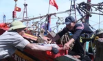 Ngư dân Nghệ An bội thu 'lộc biển' mỗi chuyến đi lộng