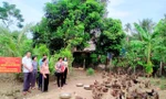 Thay đổi tập quán chăn nuôi vịt đem lại hiệu quả kinh tế cao cho bà con