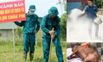 Thành phố Vinh xuất hiện 8 ổ dịch tả lợn châu Phi