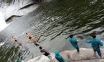 Tìm thấy thi thể người đàn ông bị nước cuốn mất tích khi tắm thác 7 tầng