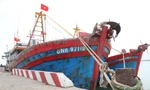 Ra khơi lỗ nặng, tàu thuyền lại nằm bờ la liệt