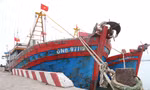 Ra khơi lỗ nặng, tàu thuyền lại nằm bờ la liệt