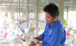 Chàng trai 8x nuôi gà siêu đẻ, mỗi năm lãi nửa tỉ đồng