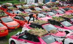 Thái Lan: Hàng trăm chiếc taxi biến thành vườn trồng rau khi phải nằm im giữa mùa dịch