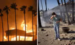 Vì sao cây cối vẫn vươn cao dù nhà cửa bị thiêu rụi do cháy rừng ở Los Angeles?