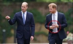 Vì sao Hoàng tử Harry liên tục xoay nhẫn cưới trong lễ khánh thành tượng Công nương Diana?