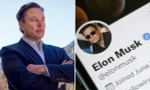 Diễn biến oái oăm trên Twitter sau thông báo thu phí "tick xanh", Elon Musk cũng không ngờ tới