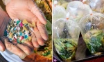 Người dân Đông Nam Á có nhiều vi nhựa trong cơ thể nhất, y như ăn thẻ tín dụng