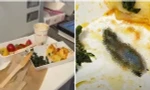 Kinh hoàng với “vật thể lạ” trong hộp thức ăn trên máy bay của một hãng hàng không Thổ Nhĩ Kỳ