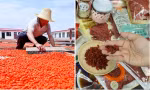 Trước thông tin quả kỷ tử bị nhiễm hóa chất độc hại, Trung Quốc tiến hành điều tra