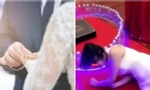 Cô gái Trung Quốc đến lễ cưới người yêu cũ, đề nghị “giảm giá” sính lễ để nối lại tình xưa
