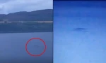 Xuất hiện "bằng chứng" mới về quái vật hồ Loch Ness từ các máy quay được lắp quanh hồ?