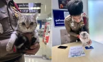 Chú mèo đi lạc bị buộc tội vì cắn nhiều cảnh sát, dân mạng khó nhịn cười