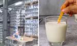 Dùng sữa giả có nguy cơ gì và làm sao để nhận biết sữa giả, kém chất lượng?