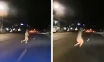 "Cái bóng trắng" lướt xuyên qua xe của người đi đường được camera ghi lại