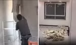 Sửa nhà suốt 2 năm, người phụ nữ mới phát hiện ra mình sửa nhầm nhà người khác