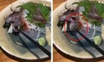 Dùng đũa gắp cá trên đĩa mà cá há miệng cắn lại, thực khách hết hồn, đầu bếp nói sao?