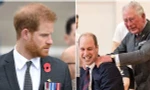 Hoàng tử Harry trách cả cha lẫn anh trai vì “chẳng cố gắng mấy” để hàn gắn mối quan hệ?