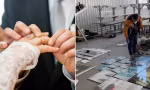 Mở dịch vụ hủy ảnh cưới cho người ly hôn, doanh nhân Trung Quốc thắng lớn