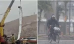 “Con cá thảm họa” xuất hiện đã dự báo đúng về trận siêu bão gần nhất ở Nhật Bản, lý do là gì?