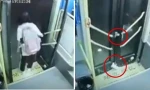Mắc chân vào cửa xe buýt, nữ sinh bị kéo lê trên đường một đoạn dài, kết quả rất bất ngờ