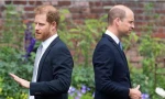 Ồn ào thông tin nhân viên của William “gieo rắc” chuyện về Harry: Phía William đã phản ứng