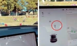 Chủ xe Tesla phát hoảng khi xe báo có người đi bộ ở gần dù lái qua nghĩa trang không có ai